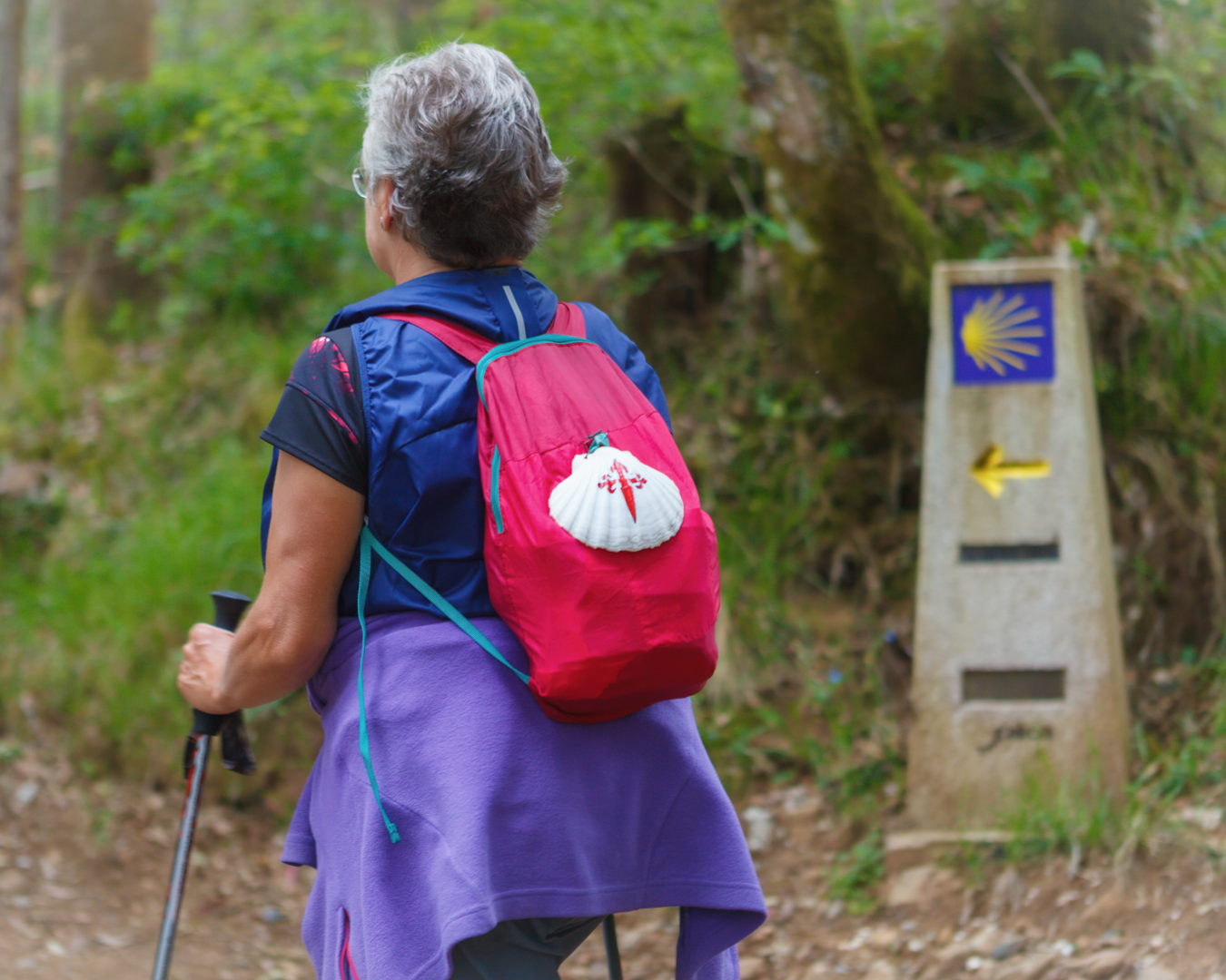 The back of a woman trekking along the Camino trail. She has a white shell hanging off her backpack and there is a sign displaying a shell in the unfocussed background. 