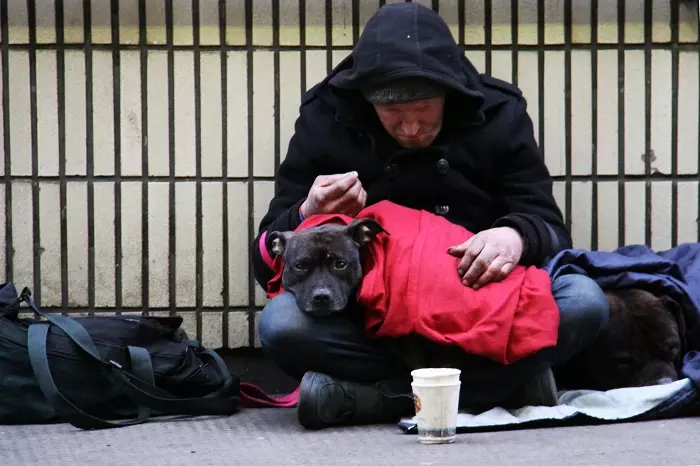 Homeless person with dog